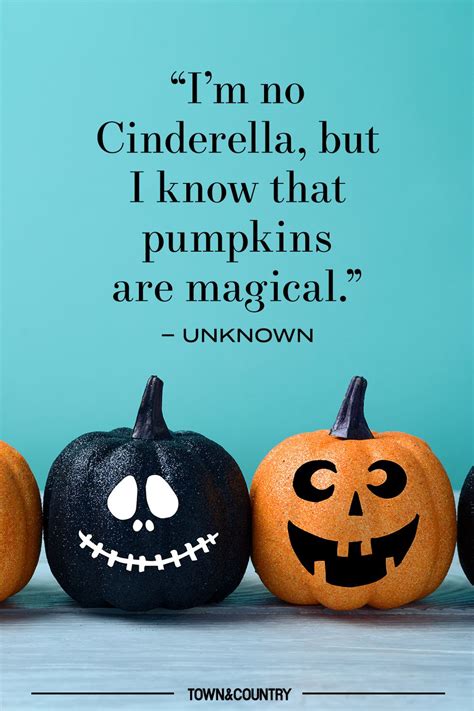 pumpkin quotes short|pumpkin quotes funny.